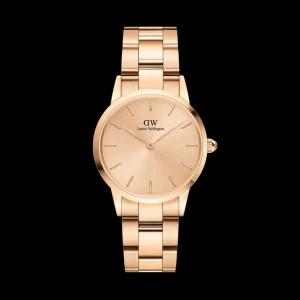 Femme Daniel Wellington Montre Iconic Link Unitone DW00100401