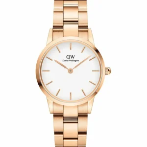 Femme Daniel Wellington Montre Iconic Link DW00100213
